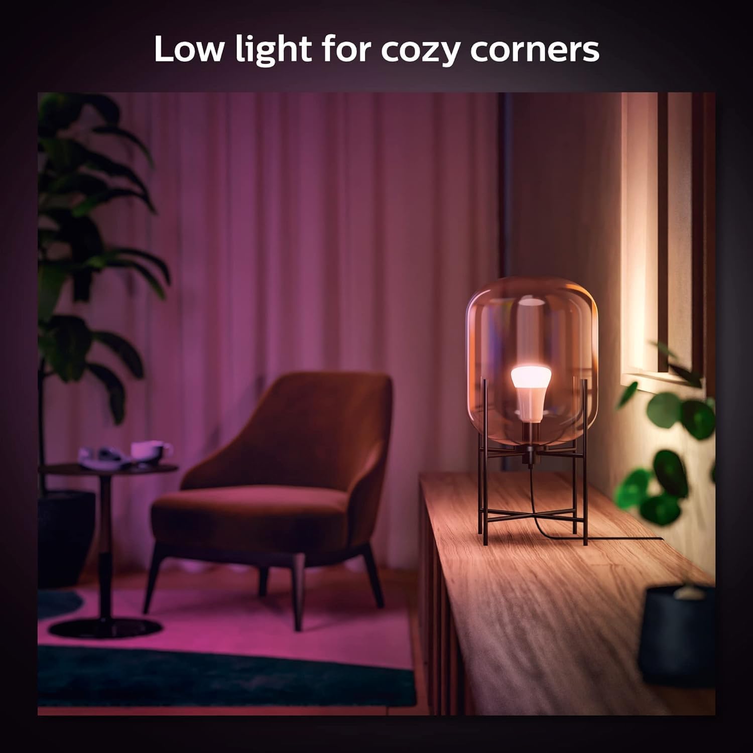 Philips Hue A19 LED Smart Light Bulb